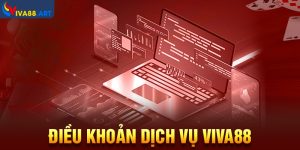 Tìm Hiểu Về Những Điều Khoản Dịch Vụ VIVA88 Chi Tiết Nhất