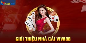 Giới thiệu nhà cái VIVA88 - Làn gió mới cho làng cá cược